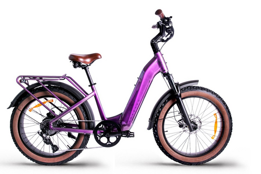 Magnum Bliss 48V 15A