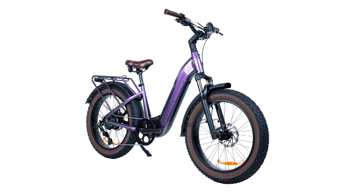 Magnum Bliss 48V 15A