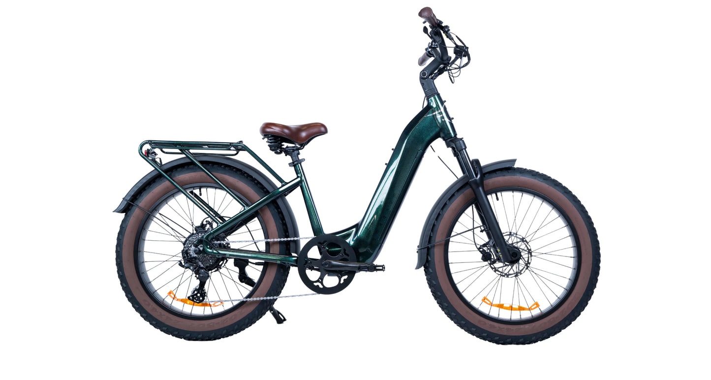 Magnum Bliss 48V 15A