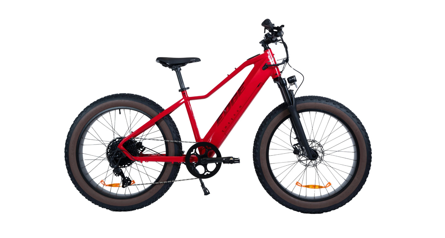 Magnum Edge 48V 15A